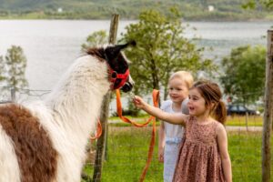 Norskott_56B8956-1024x683