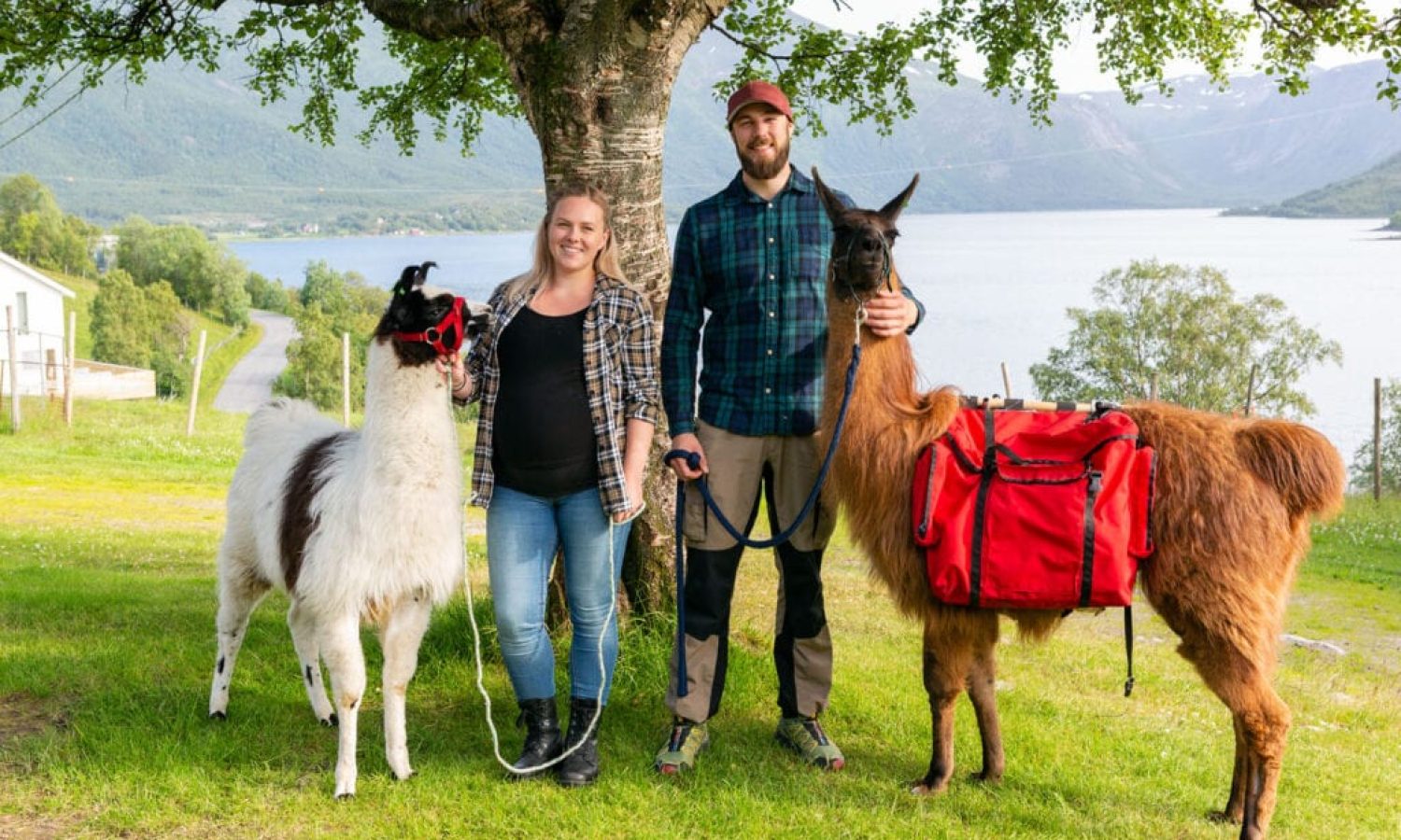 Norskott_56B8917-1024x683