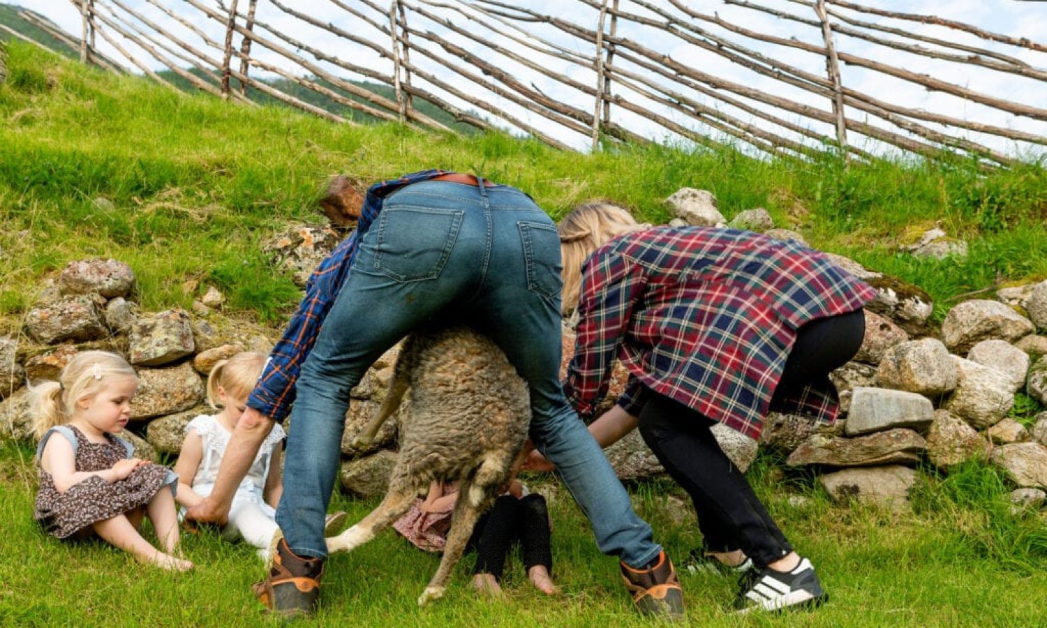 Norskott_56B8960-1024x683